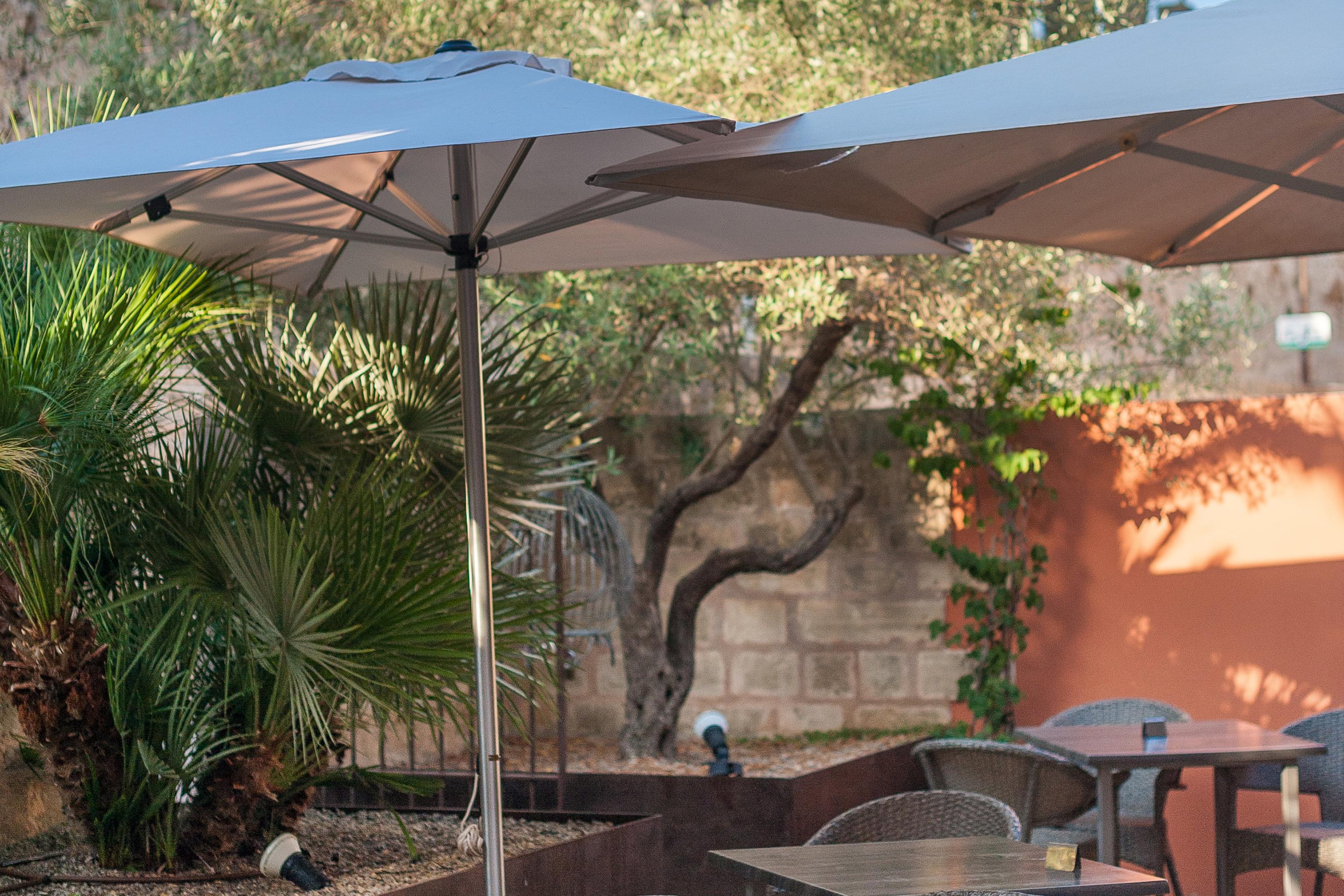 Alcudia Petit - Turismo De Interior Hotel Ngoại thất bức ảnh